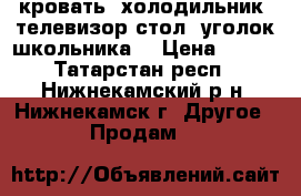 кровать, холодильник, телевизор,стол, уголок школьника  › Цена ­ 500 - Татарстан респ., Нижнекамский р-н, Нижнекамск г. Другое » Продам   